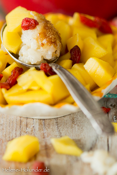 Kinder Milchreis, Mango-Gojibeeren-Kompott, vegan, Helene Holunder Kinder Milchreis, Mango-Gojibeeren-Kompott, vegan, Helene Holunder